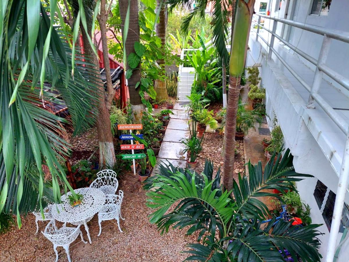 Hotel Posada Las Brisas Seybaplaya Εξωτερικό φωτογραφία